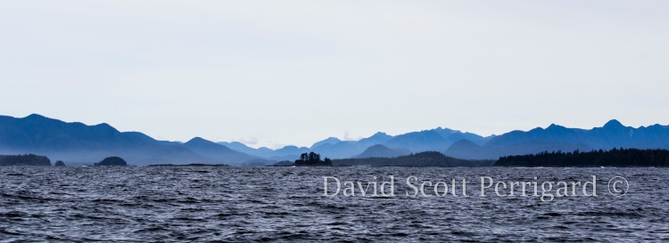 Clayoquat Sound, Tofino Coast, Vancouver Island, BC, Canada.